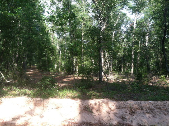 Parcel B Waterwheel Road Salley, SC 29137 - Photo 1 of 2