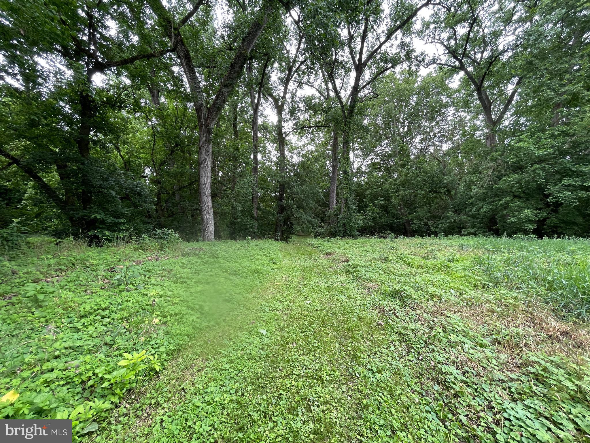 175 Howellsville Road Front Royal, VA 22630 - Photo 11 of 18 a view of outdoor space and yard
