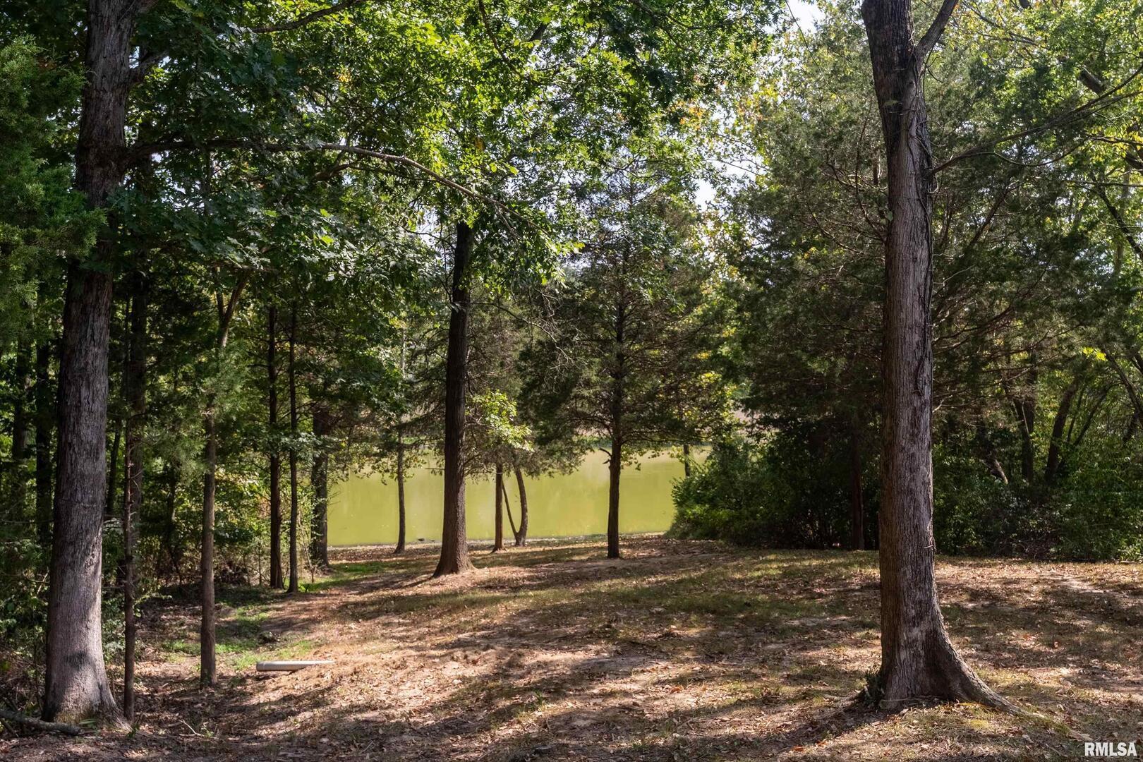 145 Oakview Road Carbondale, IL 62901 - Photo 34 of 42 a view of a yard with large trees