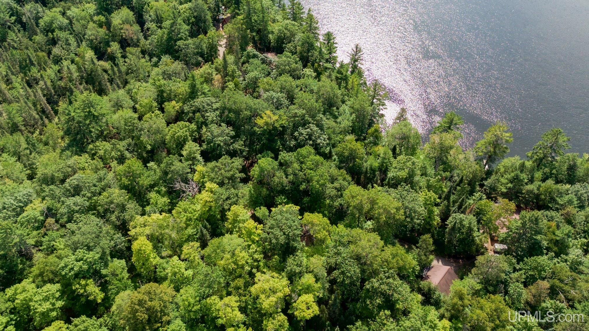 Tbd West Paint Lake Road Iron River, MI 49935 - Photo 10 of 14