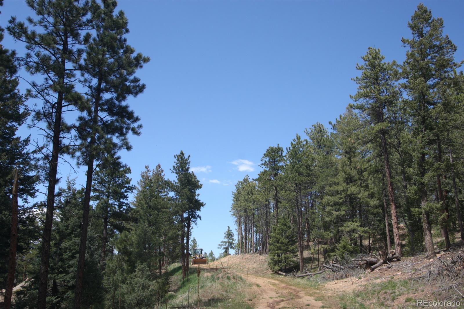 21747 Wagon Rim Trail Morrison, CO 80465 - Photo 1 of 1 Gallery Image 1