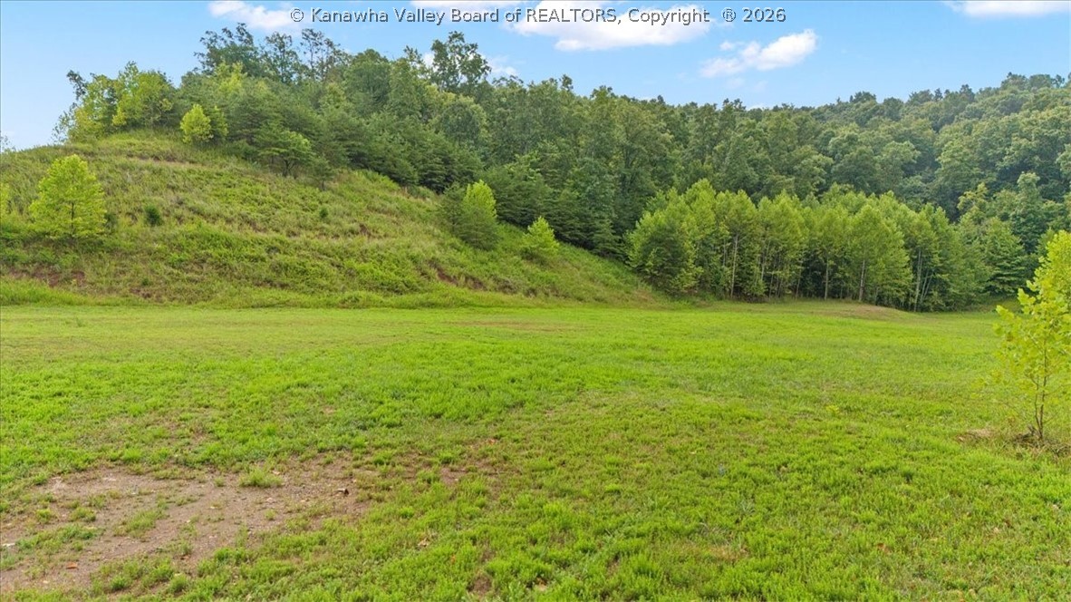 0 Memorial Drive Ripley, WV 25271 - Photo 4 of 32 Gallery Image 4
