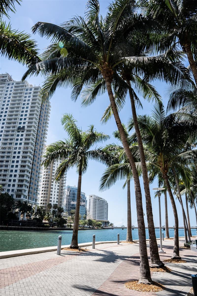 485 Brickell Avenue, Unit 4501 Miami, FL 33131 - Photo 48 of 49 a palm tree sitting in front of a house with palm trees