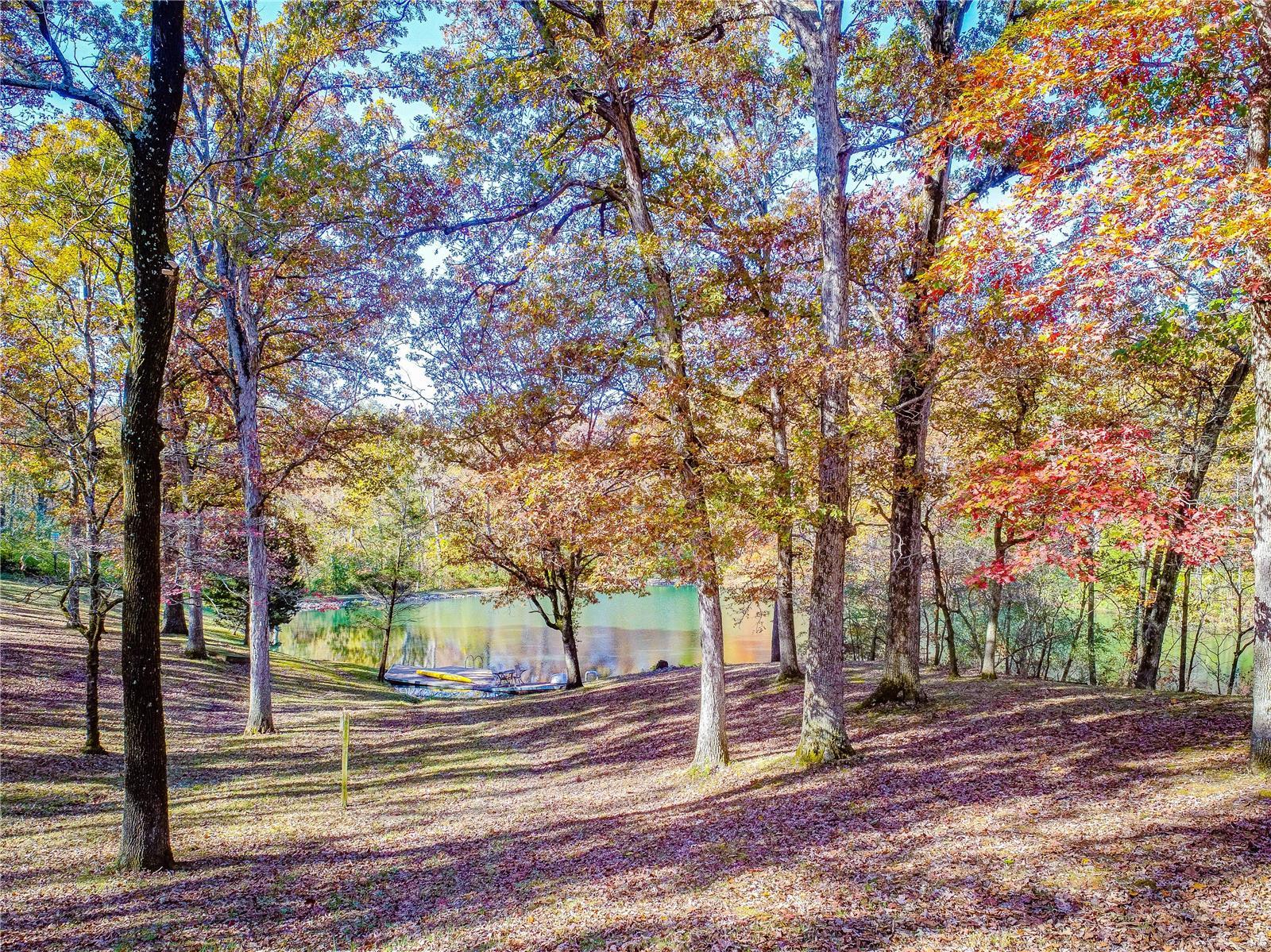 7717 Jacks Run Road Freeburg, IL 62243 - Photo 7 of 56
