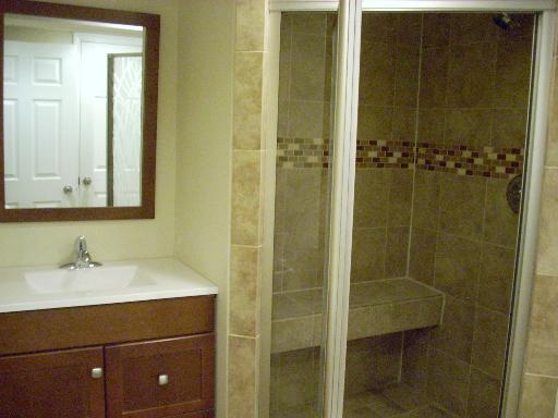 307 East Harrison Road Lombard, IL 60148 - Photo 14 of 16 a bathroom with a shower and a sink