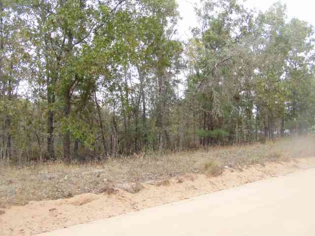 620 Stillwater Road Windsor, SC 29856 - Photo 1 of 1 Main View