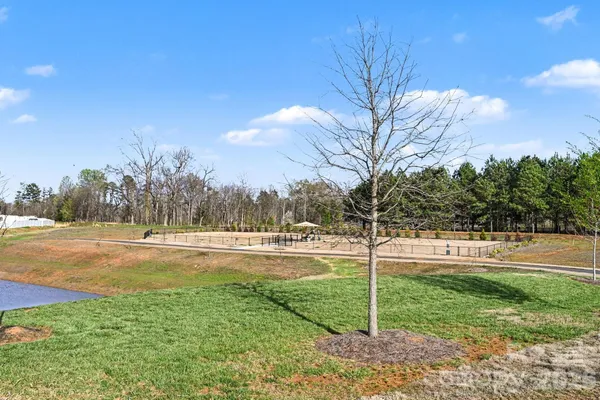 a view of a swimming pool and trees in the background