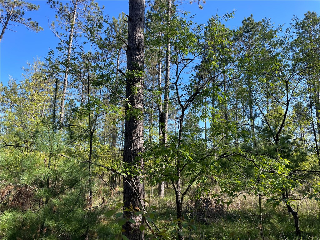 Lot 2 Murphy Boulevard Hayward, WI 54843 - Photo 1 of 10