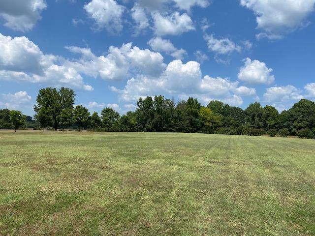 2890 Ward Road Millington, TN 38053 - Photo 10 of 16 Gallery Image 10