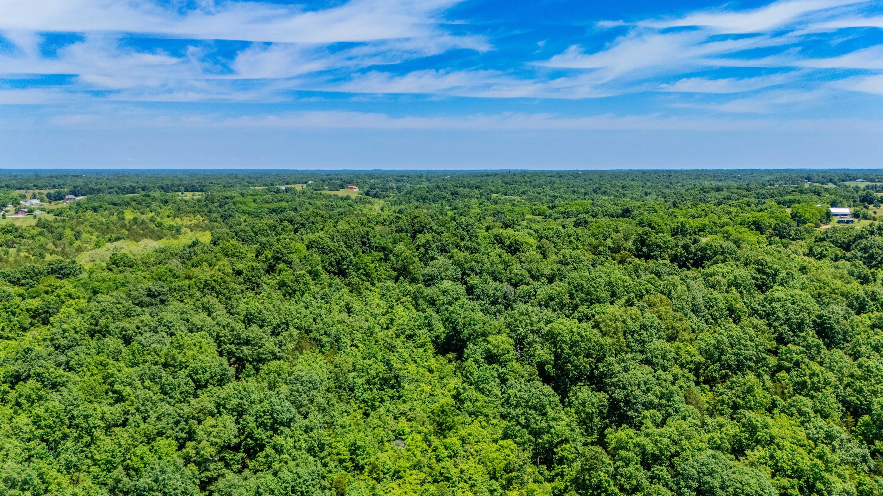 1265 Edmonson Road Lawrenceburg, KY 40342 - Photo 56 of 64 1265Edmonson--21