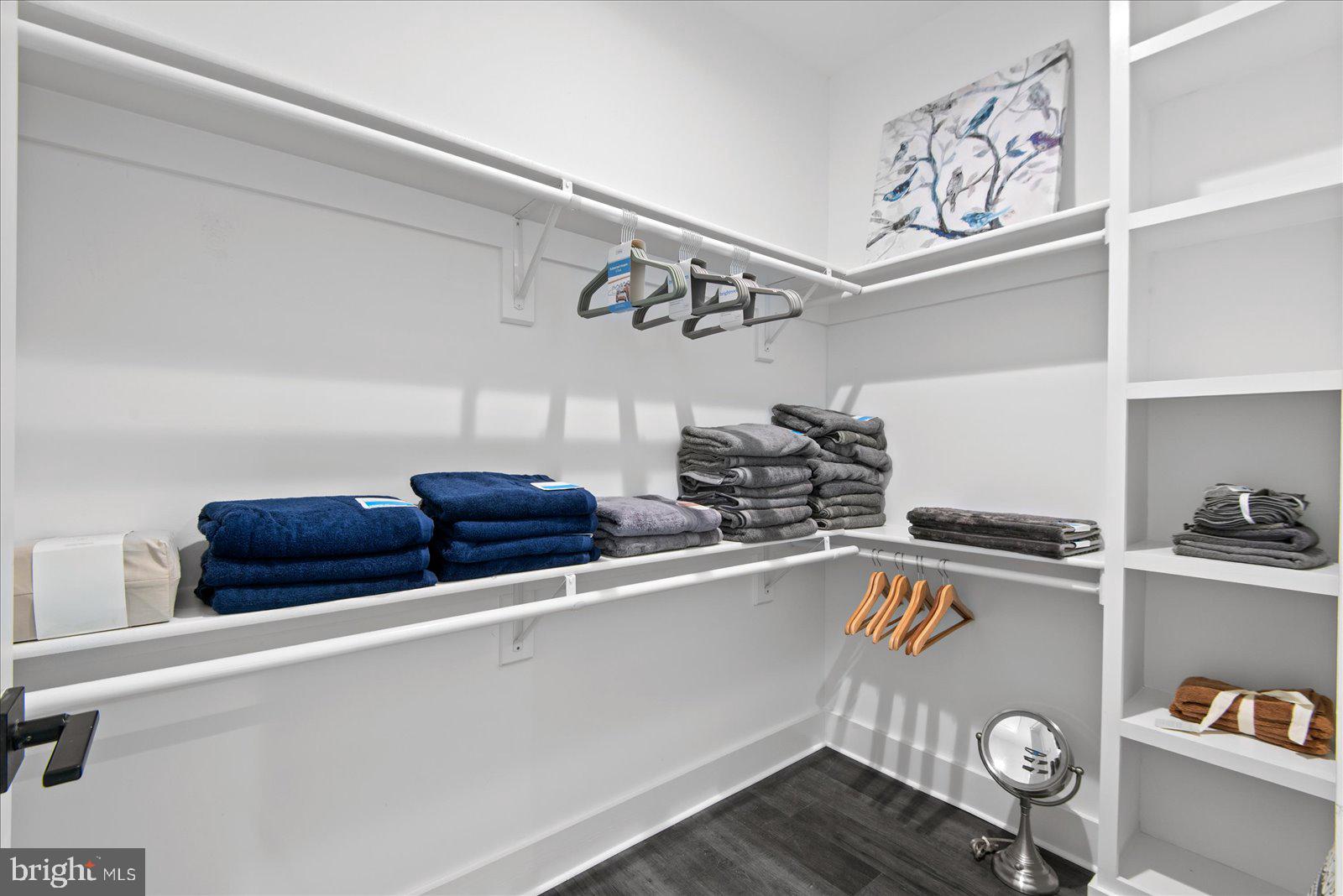 7206 Castaway Beach Road Orange, VA 22960 - Photo 35 of 64 Walk-in closet with wraparound shelving