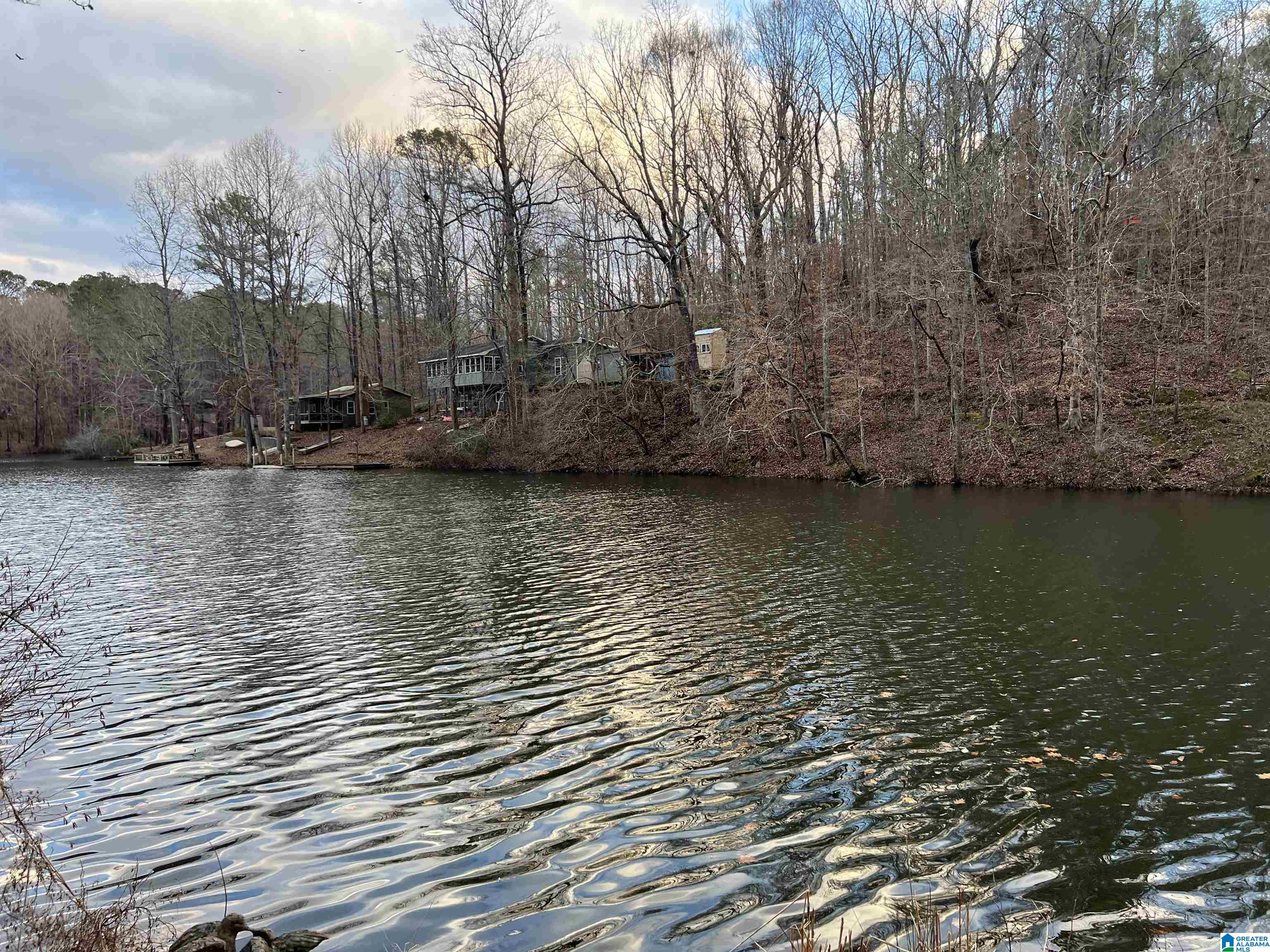 201 County Road 929 Delta, AL 36258 - Photo 2 of 8