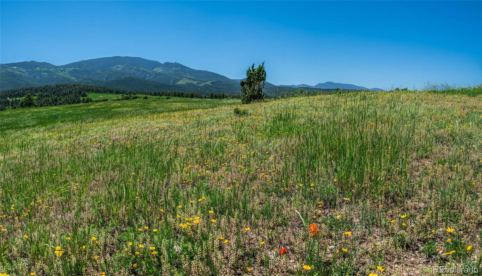 8597 Highway 165 Rye, CO 81069 - Photo 30 of 35 Gallery Image 30