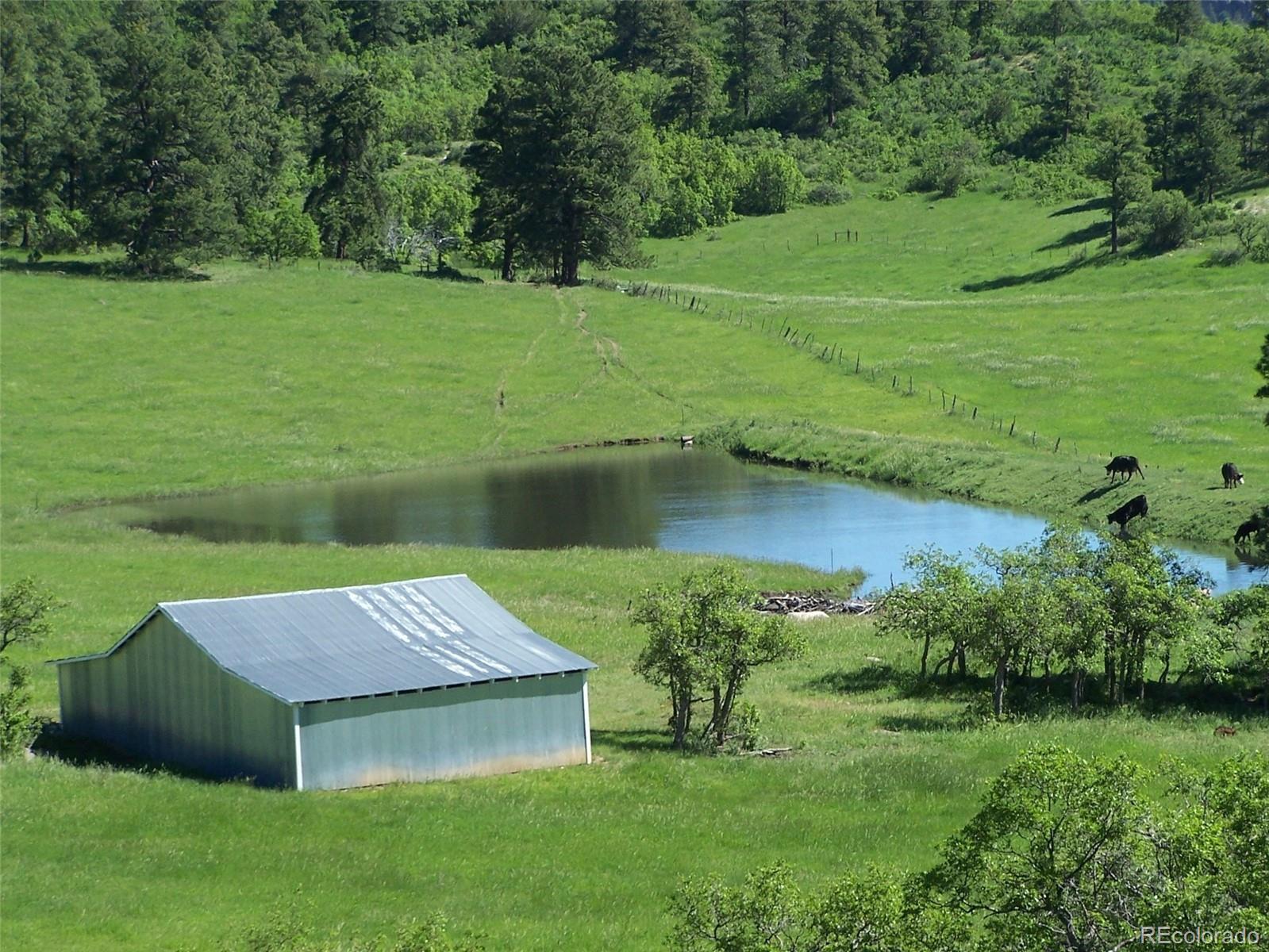 8597 Highway 165 Rye, CO 81069 - Photo 7 of 35 Gallery Image 7