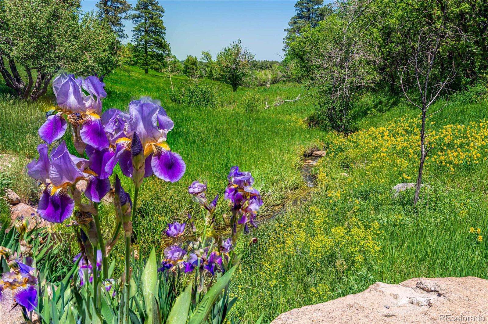 8597 Highway 165 Rye, CO 81069 - Photo 8 of 35 Gallery Image 8