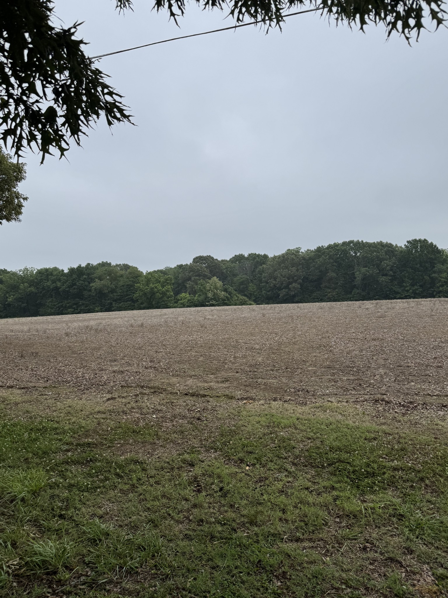 325 Harts Mill Road Atwood, TN 38220 - Photo 7 of 44