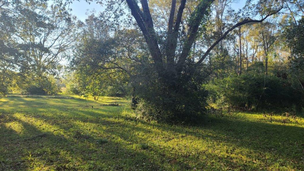 1155 Shady Grove Church Road Baker, FL 32531 - Photo 64 of 113 1155 Shady Grove Rd (64)