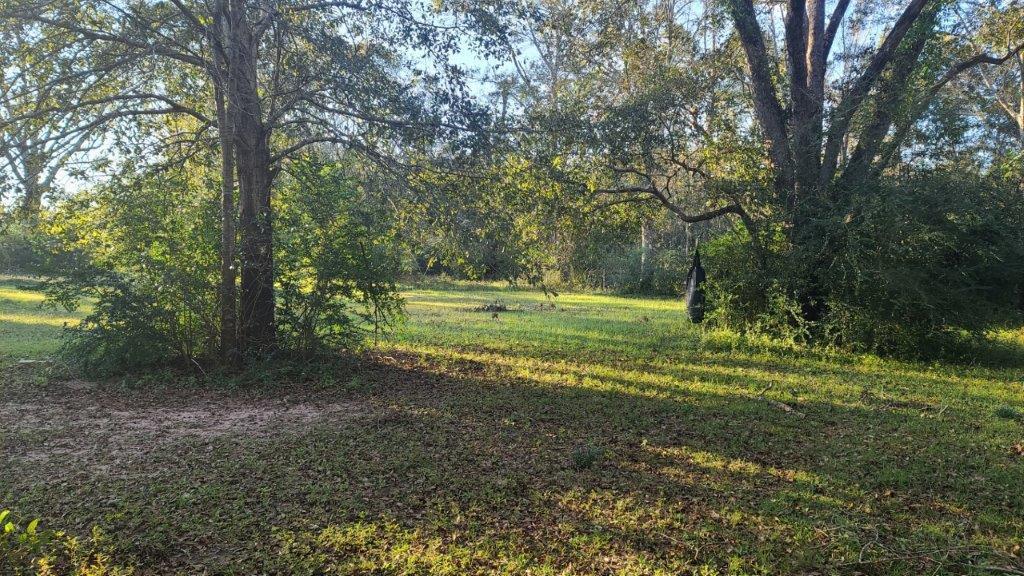 1155 Shady Grove Church Road Baker, FL 32531 - Photo 65 of 113 a view of a grassy field with trees