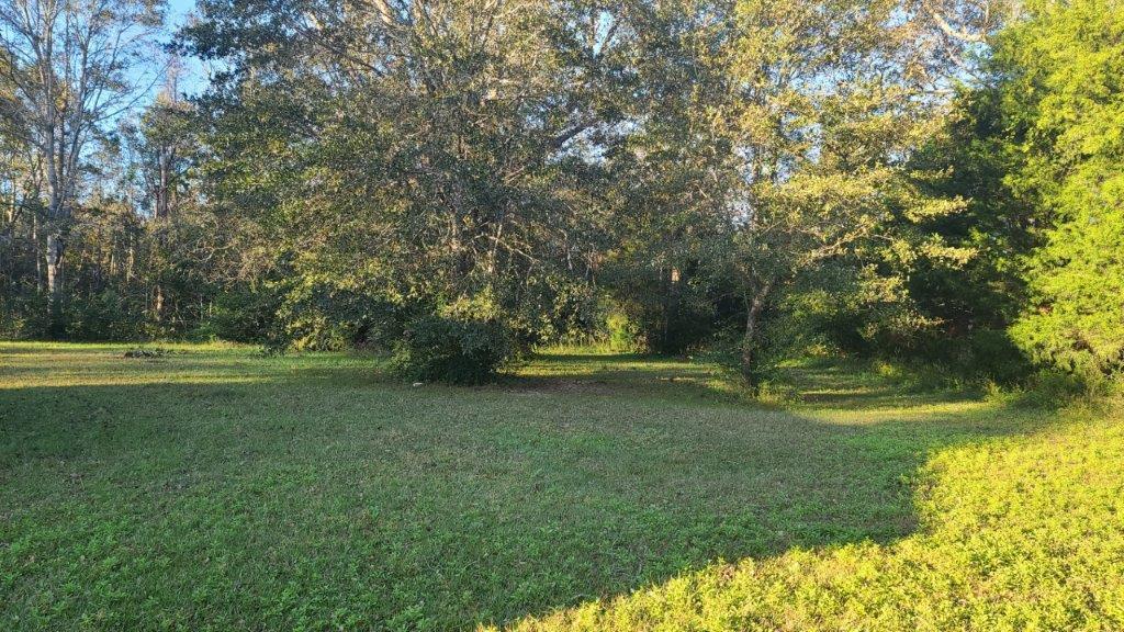 1155 Shady Grove Church Road Baker, FL 32531 - Photo 67 of 113 1155 Shady Grove Rd (67)