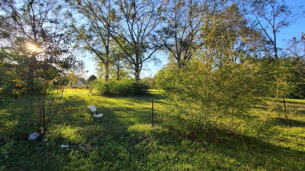 1155 Shady Grove Church Road Baker, FL 32531 - Photo 85 of 113 a view of yard with green space