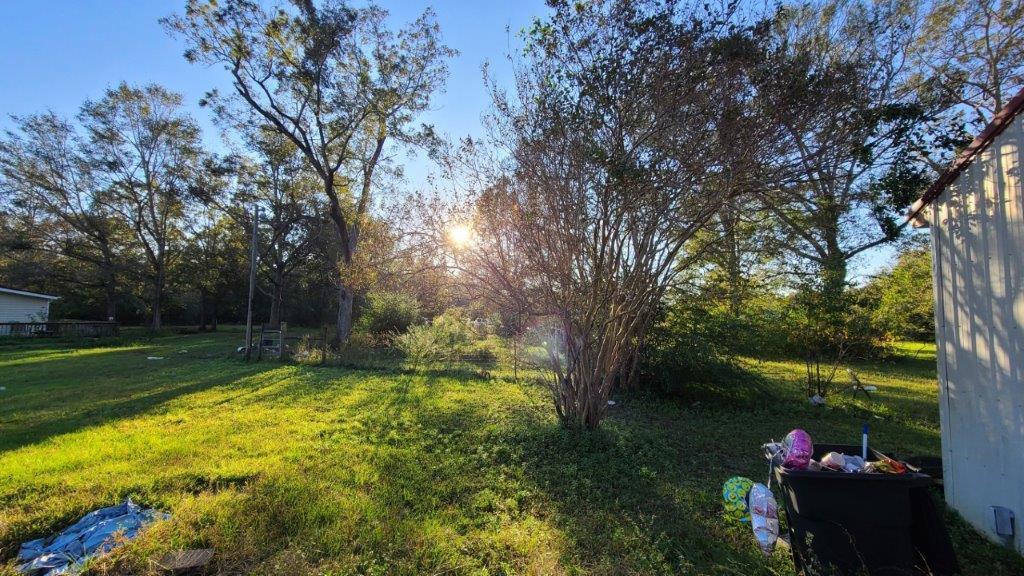 1155 Shady Grove Church Road Baker, FL 32531 - Photo 88 of 113 a backyard of a house with lots of green space