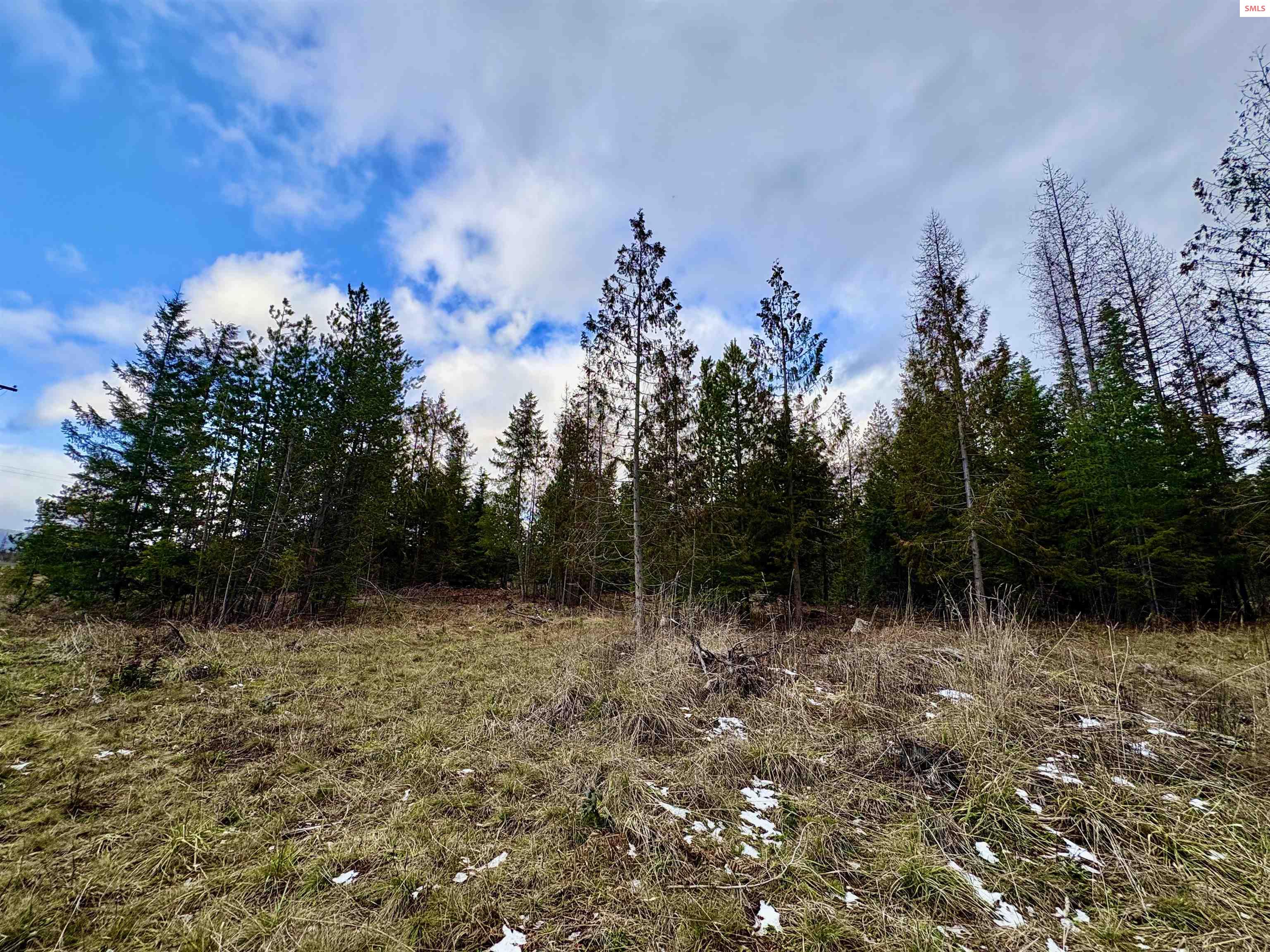1-2 3 Lost Mile Road Naples, ID 83847 - Photo 25 of 25