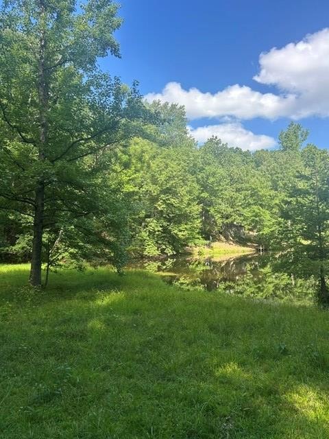 620 Eva Flatwoods Road Eva, TN 38333 - Photo 34 of 40