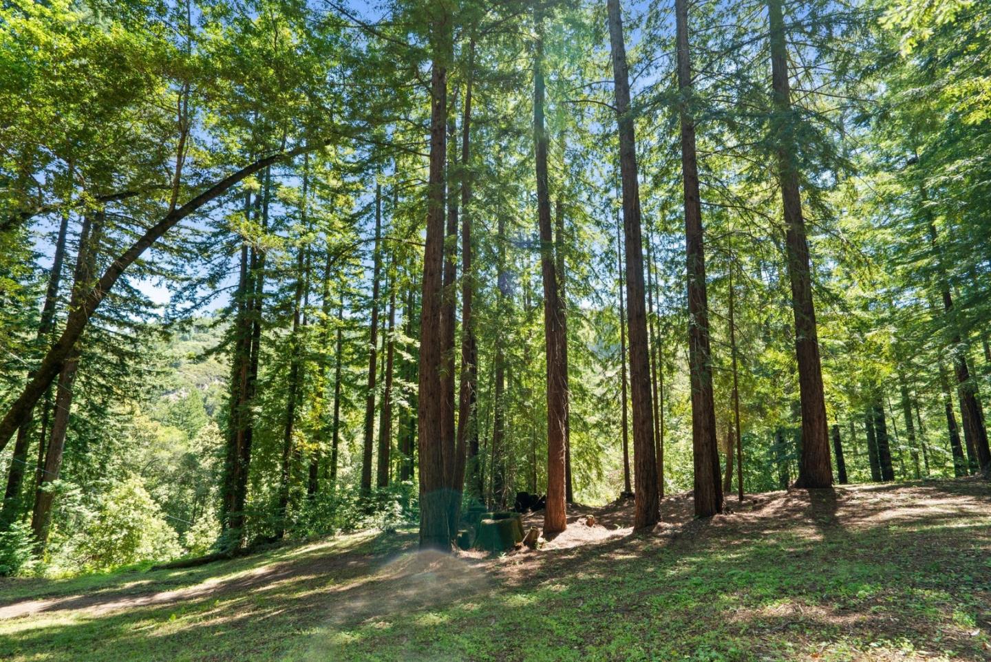 2800 Lockhart Gulch Road Scotts Valley, CA 95066 - Photo 116 of 142