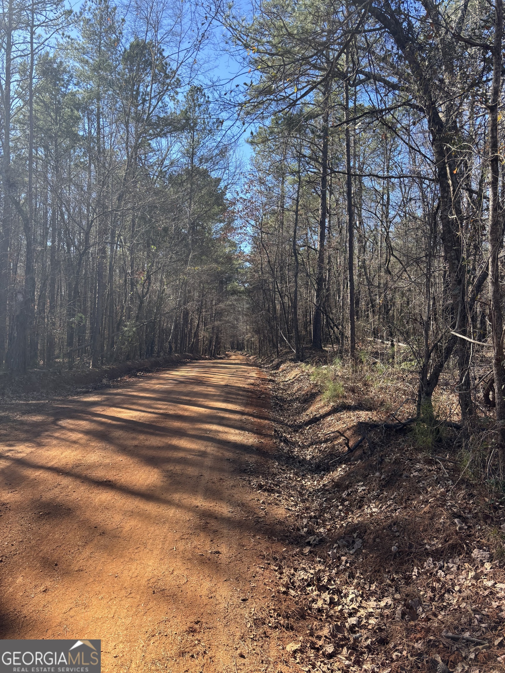 0 Carl Mathis Road Talbotton, GA 31827 - Photo 1 of 11