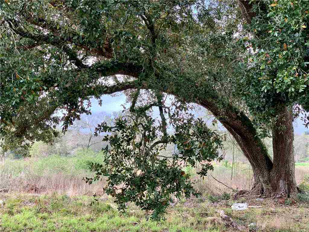 19493 Providence Ridge Boulevard Hammond, LA 70403 - Photo 32 of 35