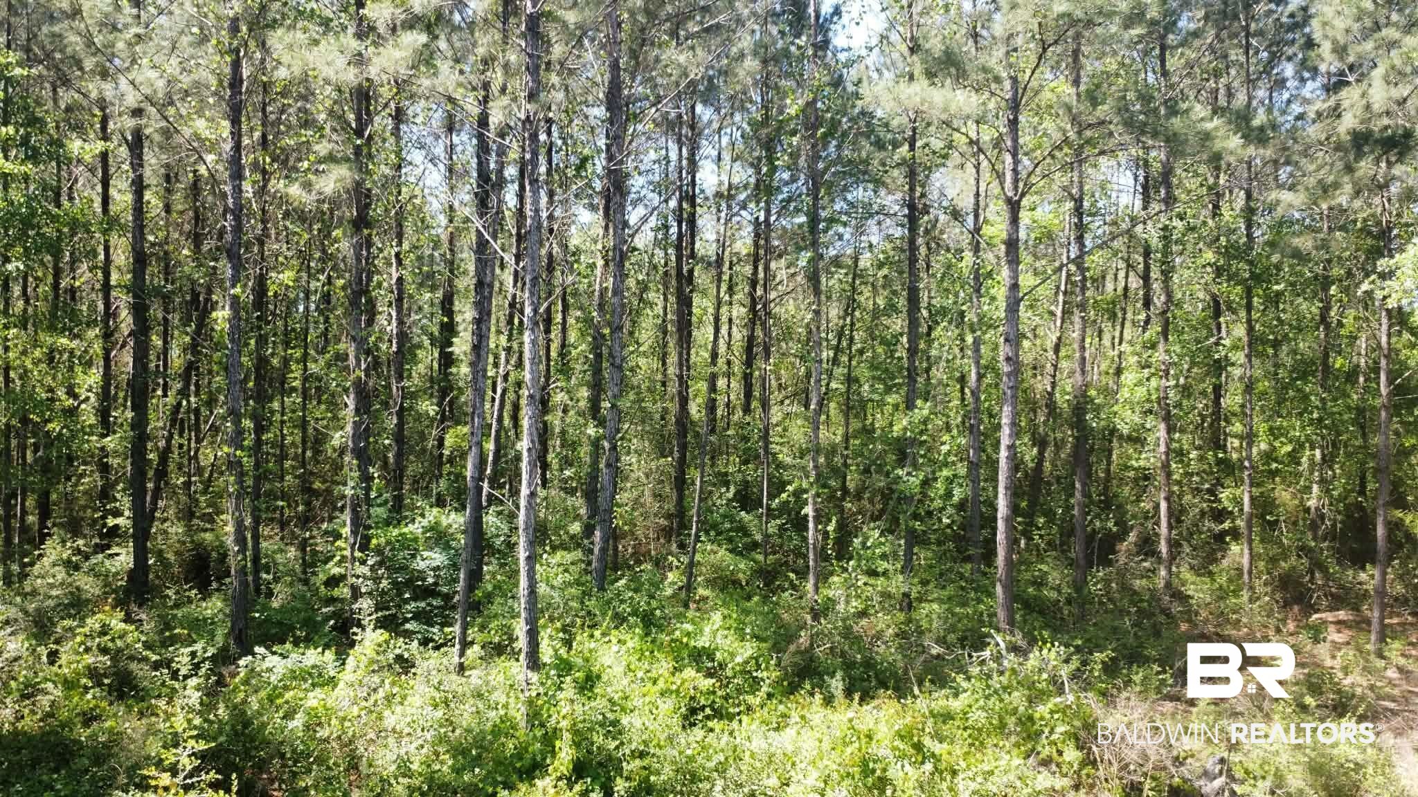 0 Smallwood Lane Seminole, AL 36574 - Photo 5 of 7