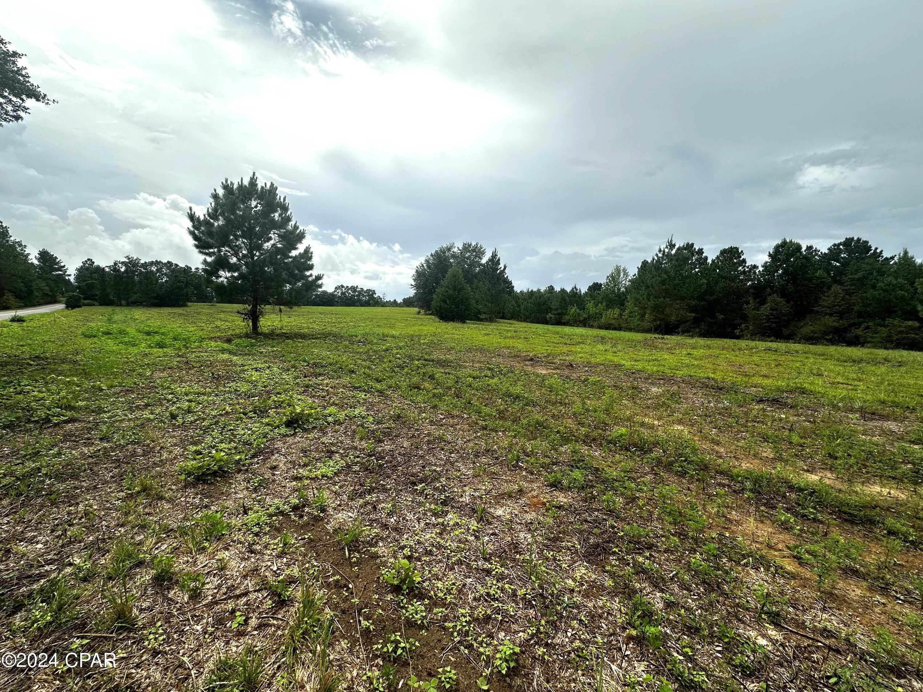 Tbd Sloan Road Graceville, FL 32440 - Photo 1 of 4