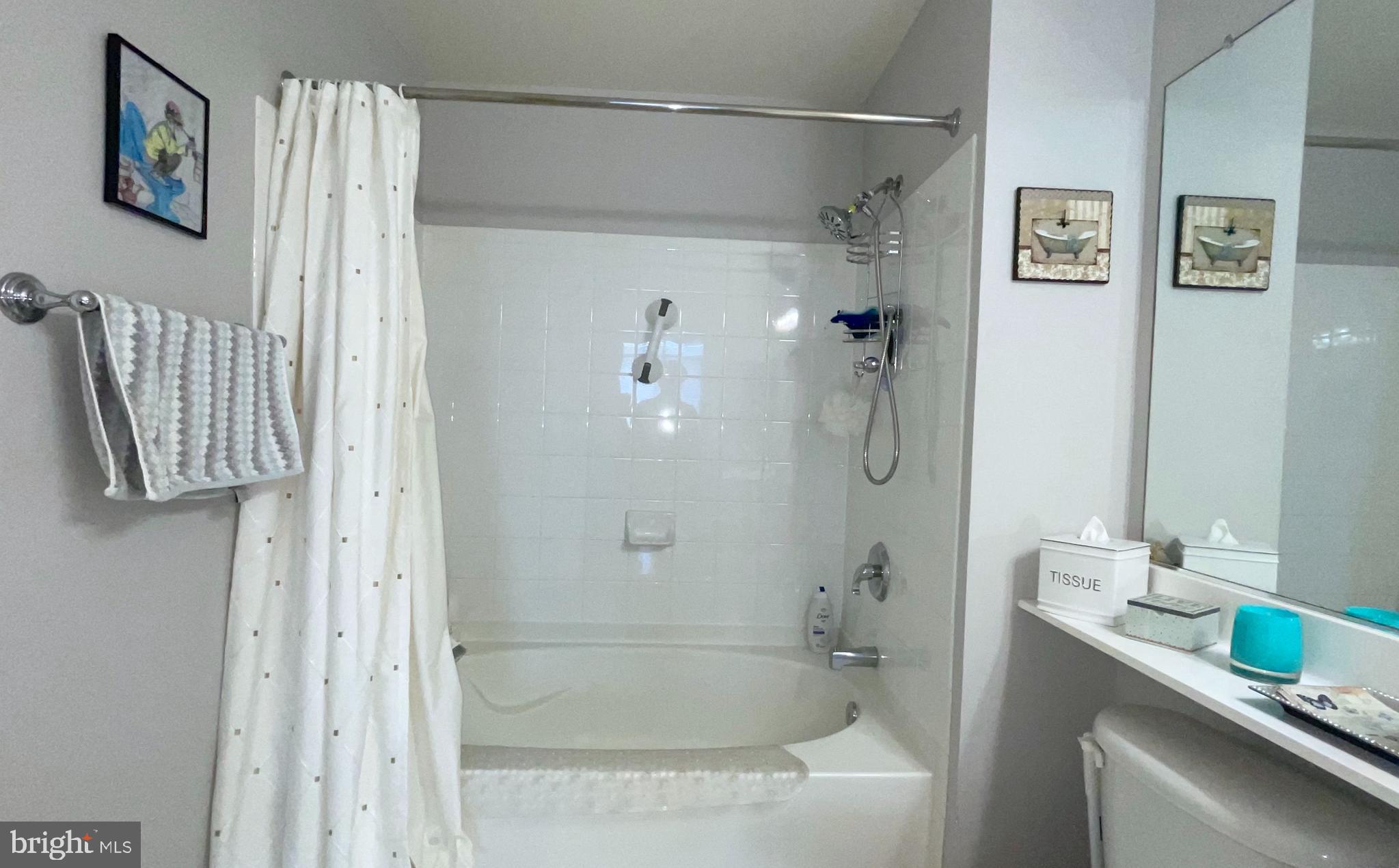 11710 Old Georgetown Road, Unit 1522 Rockville, MD 20852 - Photo 23 of 64