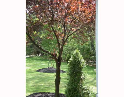192 Neely School Road Wexford, PA 15090 - Photo 8 of 8 Yard/Garden.