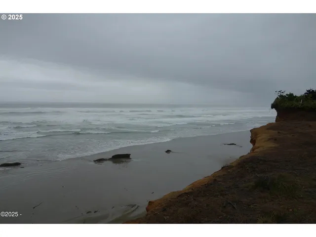 a wooden floor with a palm tree in the background