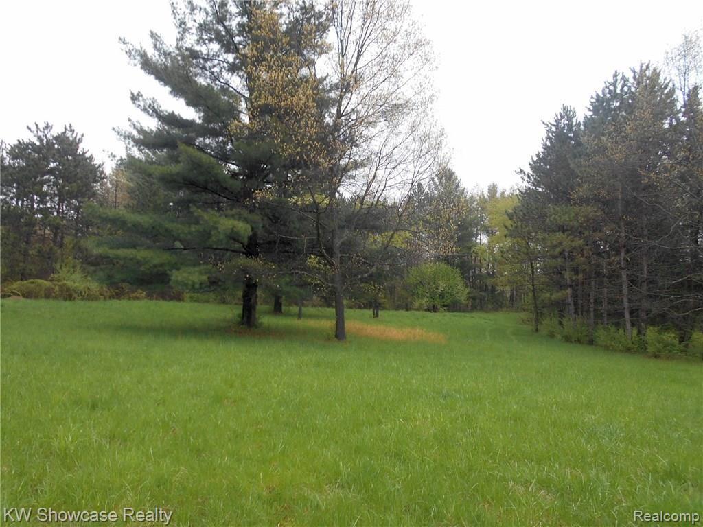 5464 Blood Road Metamora, MI 48455 - Photo 9 of 14
