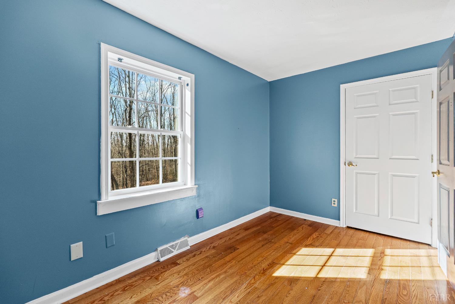 181 Salem Road Spout Spring, VA 24593 - Photo 18 of 33 Gallery Image 18