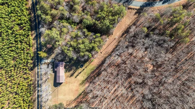 a view of a plant in a garden