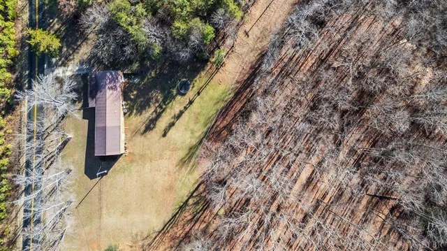 a view of a yard with a trees