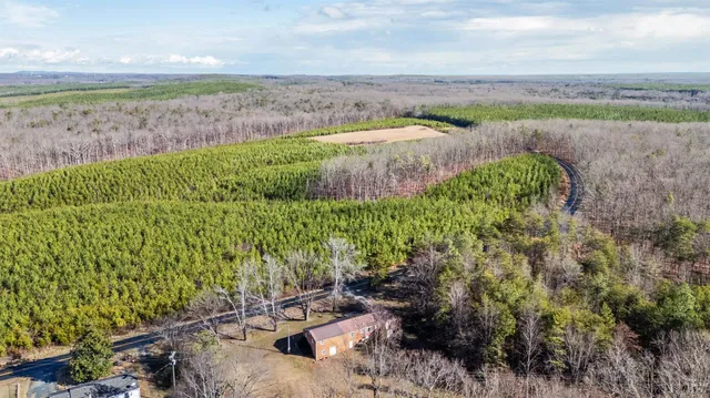 a view of a garden with an outdoor space