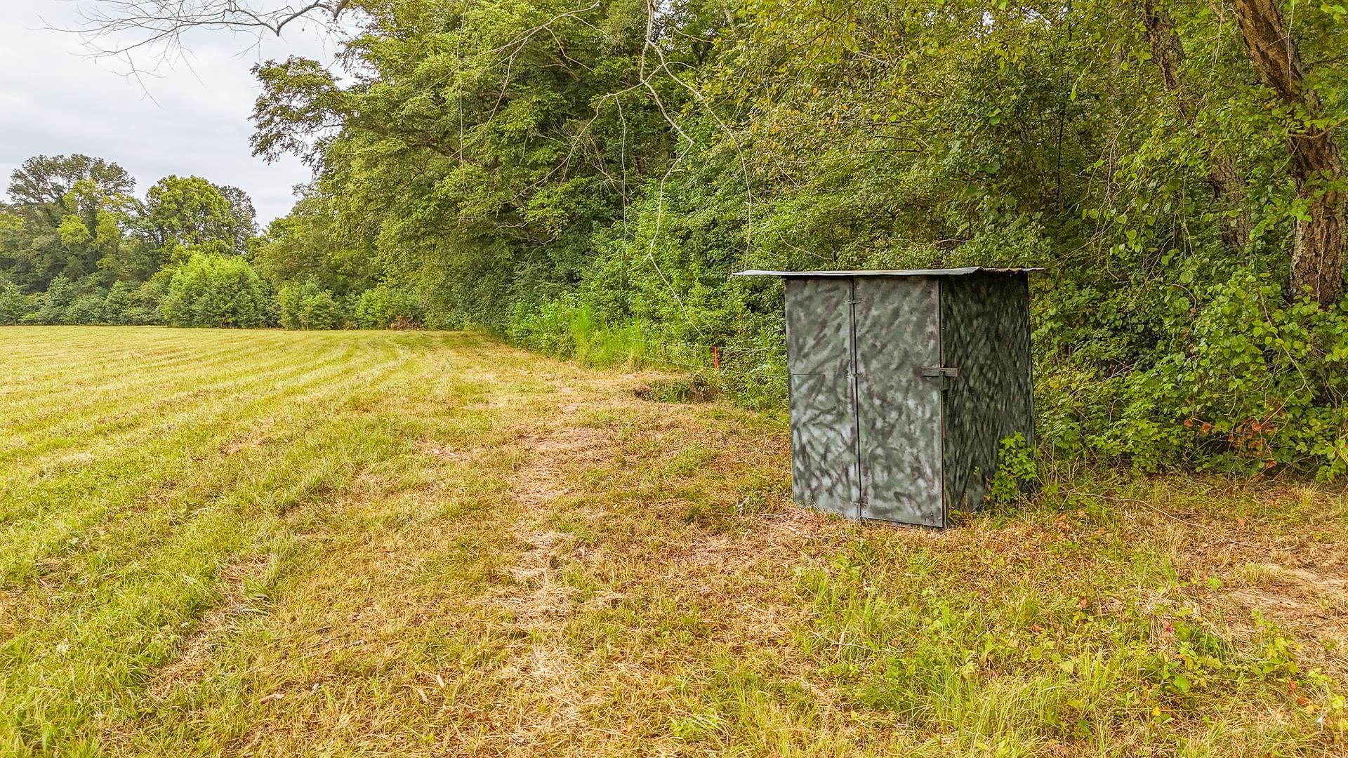 0 Seaton Loop Adamsville, TN 38310 - Photo 11 of 14 View of green lawn with a shed and a wooded view