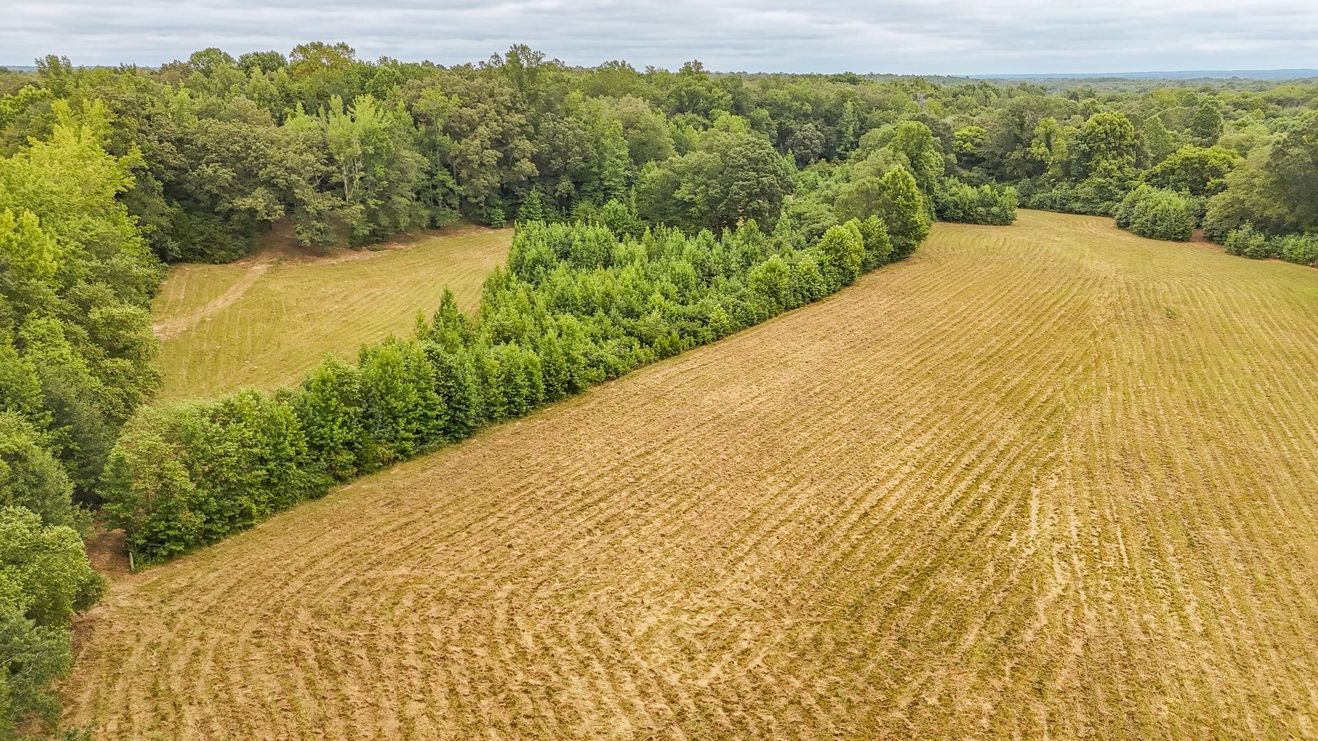 0 Seaton Loop Adamsville, TN 38310 - Photo 12 of 14 Overview of rural landscape with a heavily wooded area and rows of crops