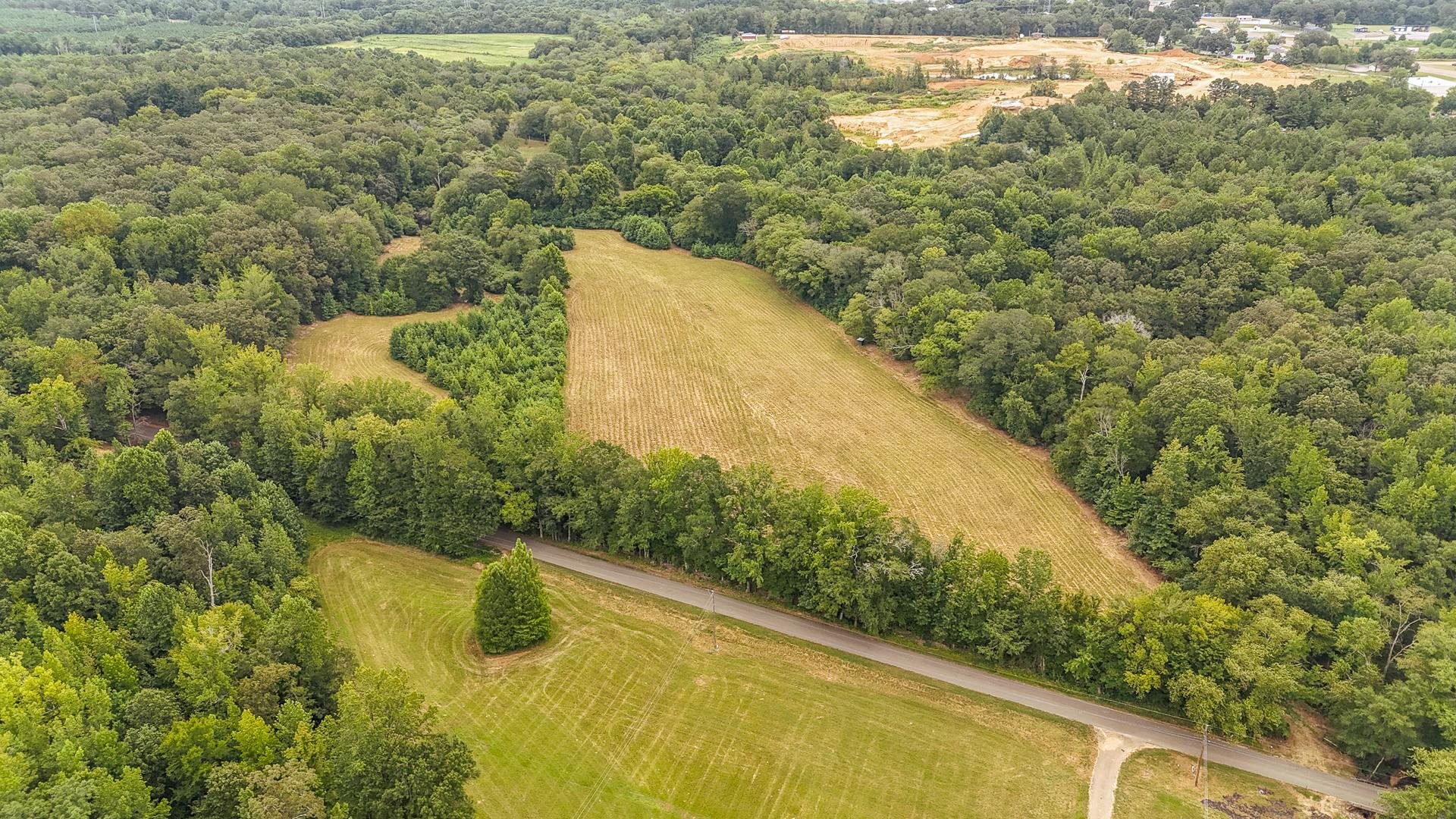0 Seaton Loop Adamsville, TN 38310 - Photo 13 of 14 Bird's eye view of a forest