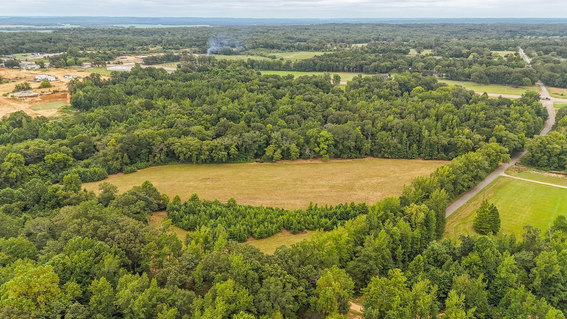0 Seaton Loop Adamsville, TN 38310 - Photo 14 of 14 Overview of rural landscape with a heavily wooded area and large plots for crops