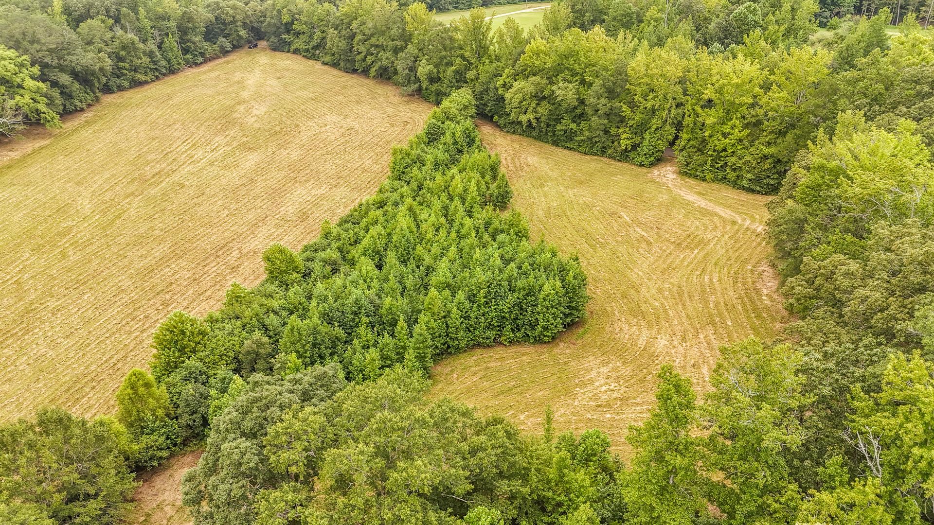 0 Seaton Loop Adamsville, TN 38310 - Photo 3 of 14 Bird's eye view
