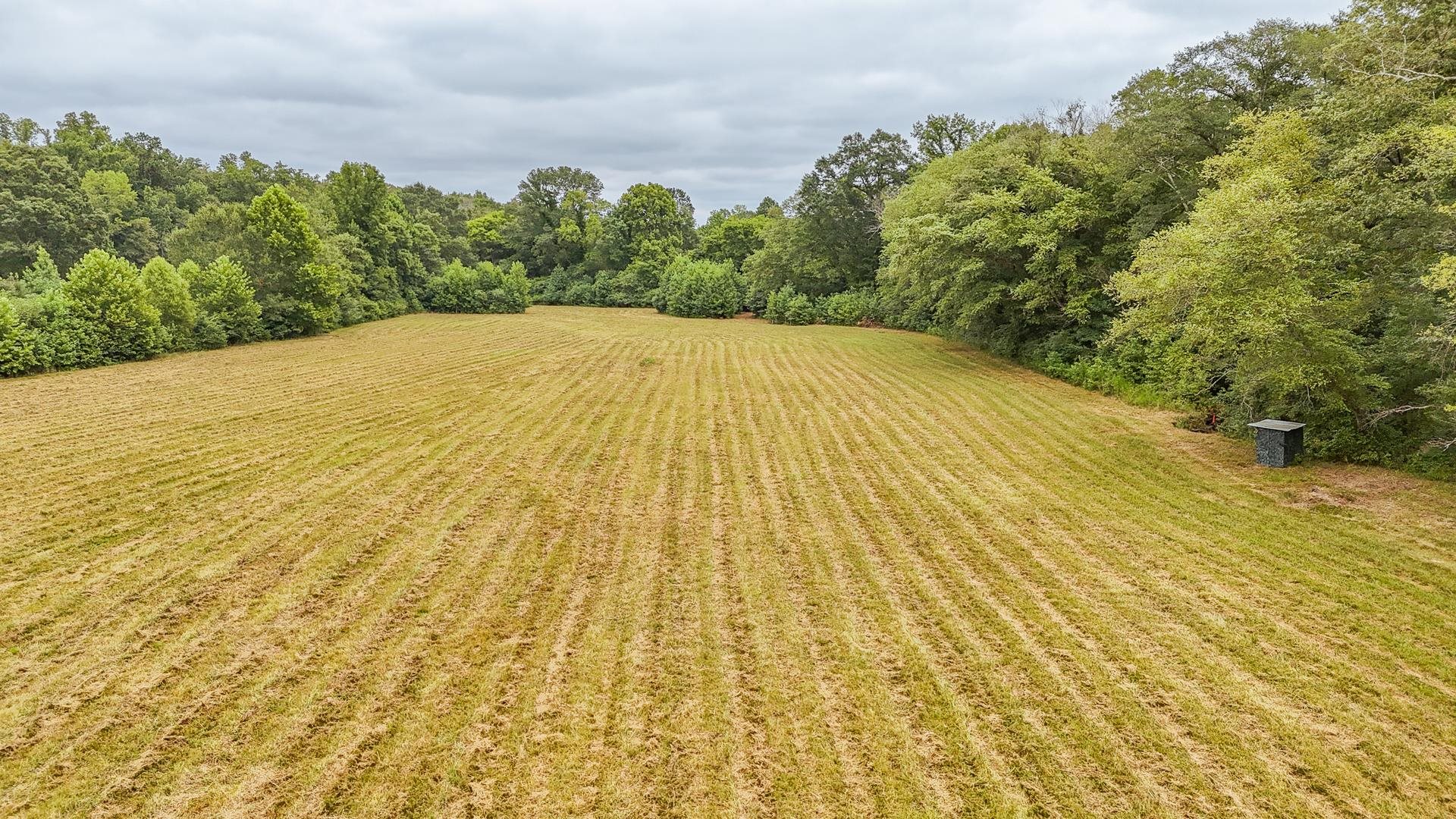 0 Seaton Loop Adamsville, TN 38310 - Photo 4 of 14 View of grassy yard featuring agricultural area