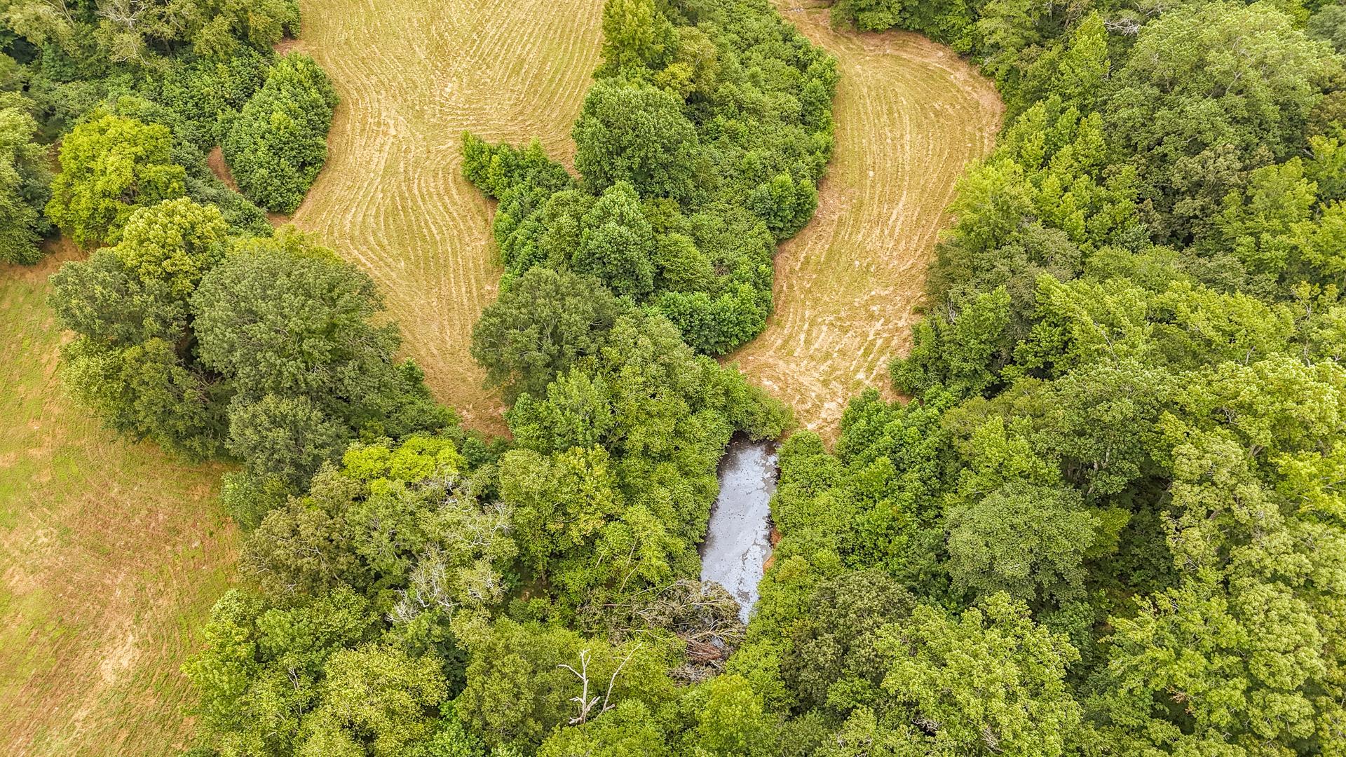 0 Seaton Loop Adamsville, TN 38310 - Photo 5 of 14 Drone / aerial view