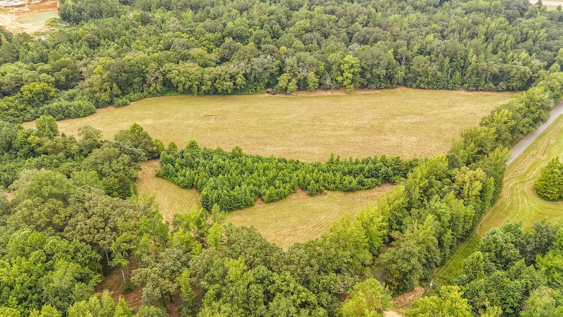 0 Seaton Loop Adamsville, TN 38310 - Photo 6 of 14 View of rural area with extensive farmland and a forest