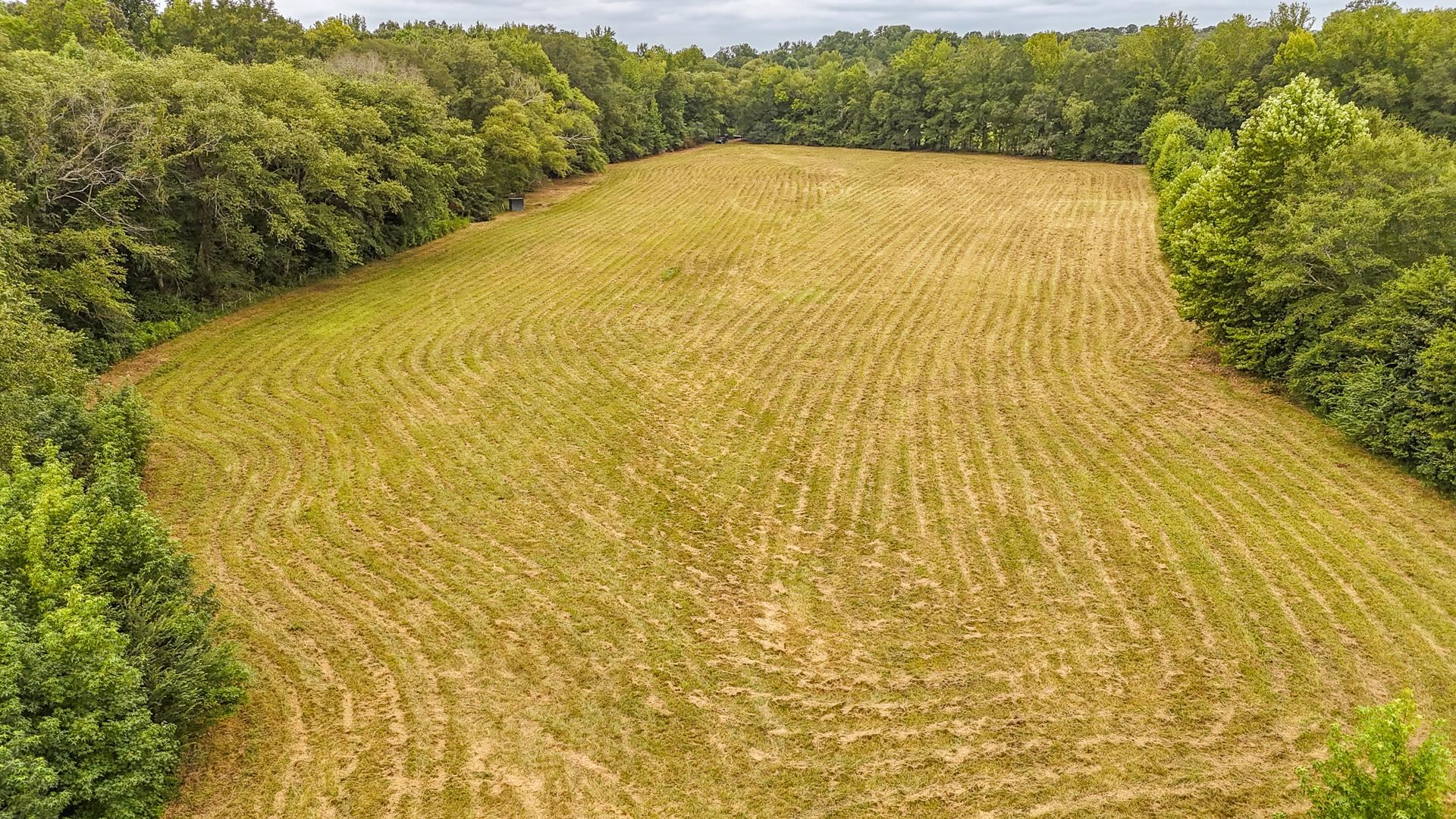 0 Seaton Loop Adamsville, TN 38310 - Photo 7 of 14 View of rural area with a forest and large plots for crops
