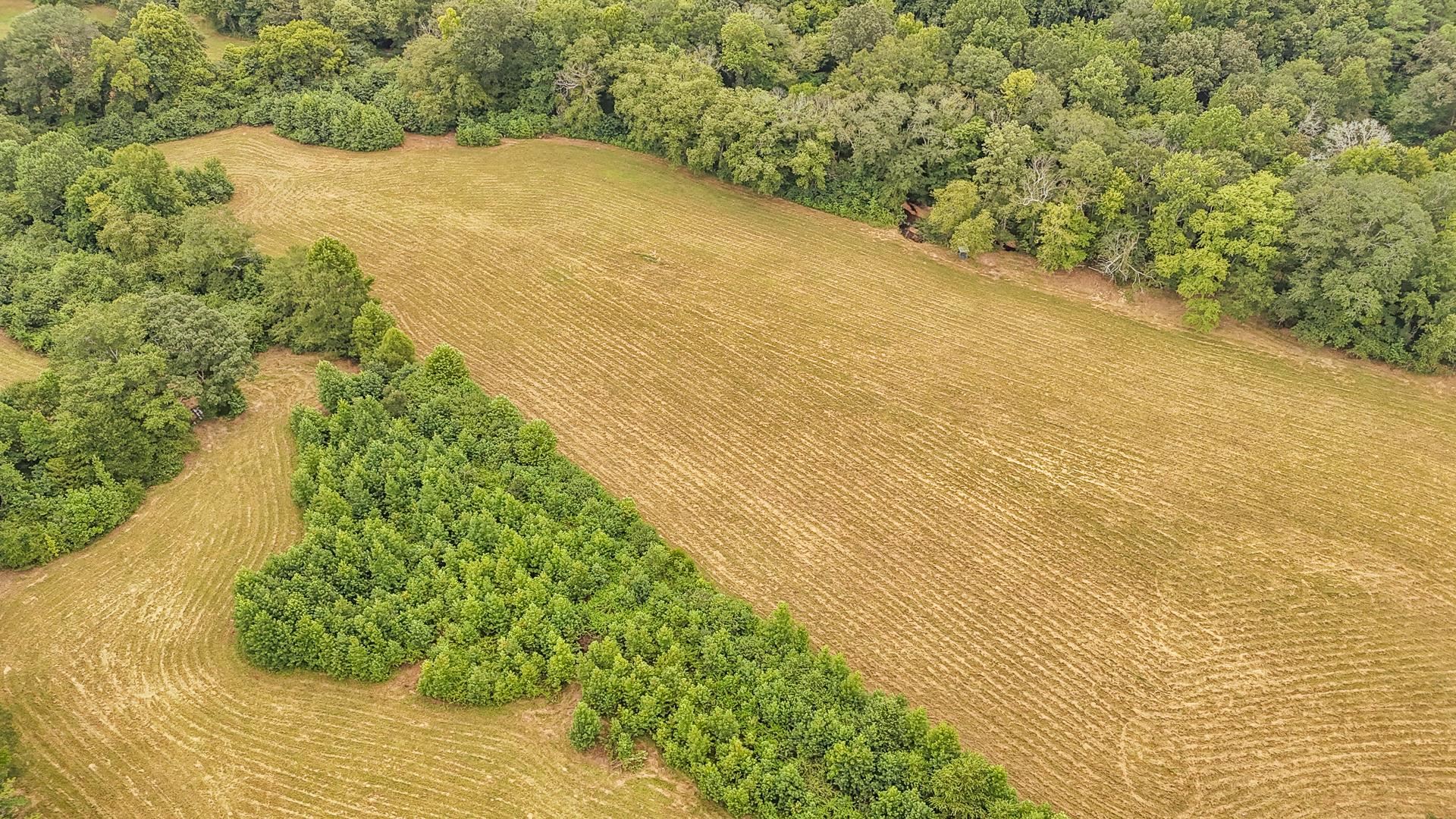 0 Seaton Loop Adamsville, TN 38310 - Photo 8 of 14 View of rural area with large plots for crops